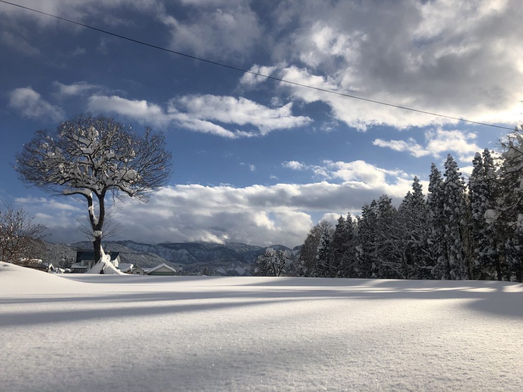 美しい晴れの日 – ＃津南町最高かよ〜雪解けの「新芽」のように、心